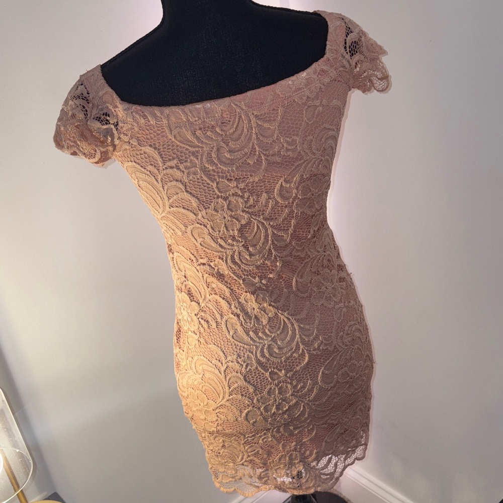 Ambiance Lace Mini Dress in Blush Pink - Picture 3 of 4
